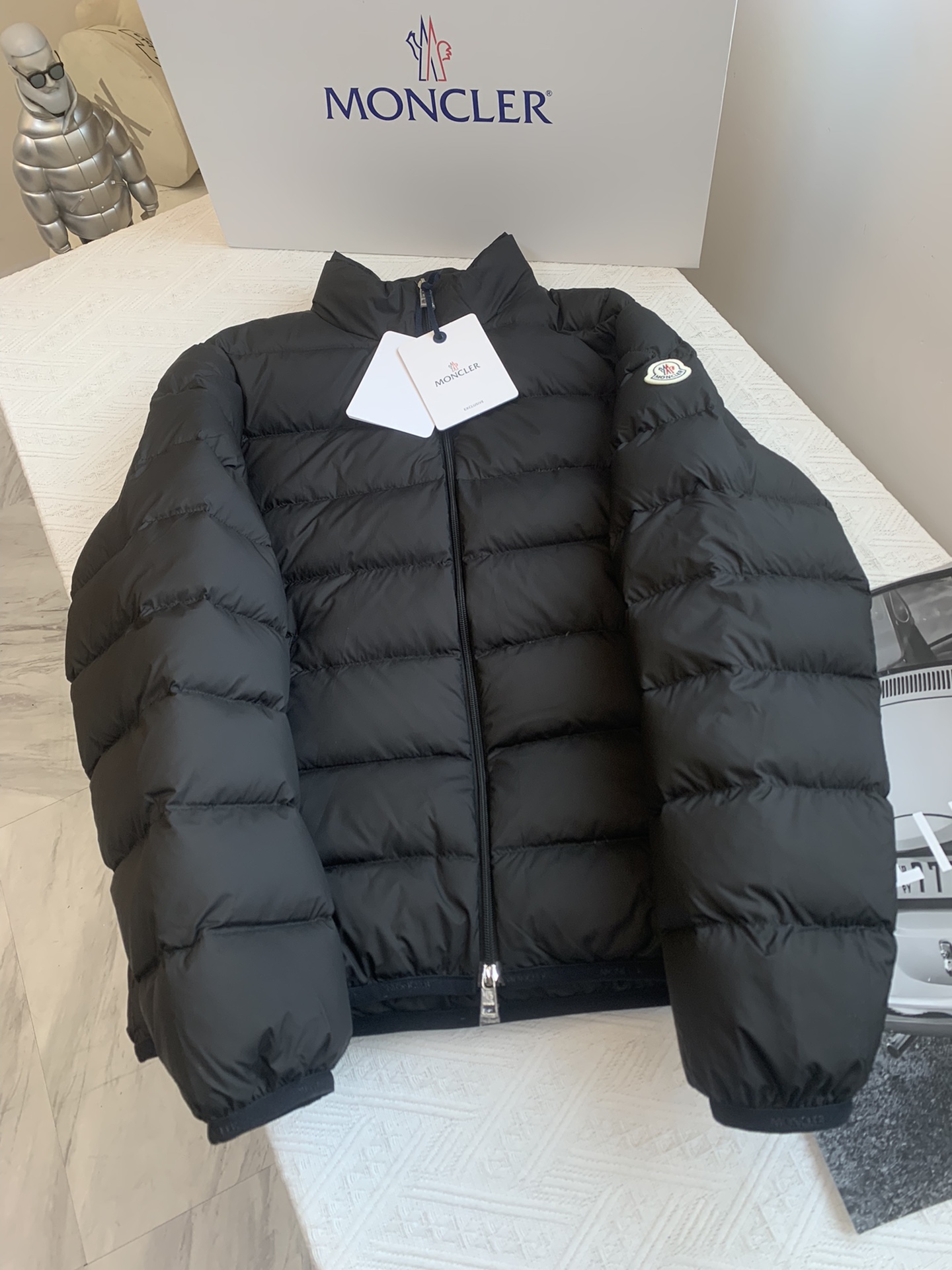 Moncler Down Jackets